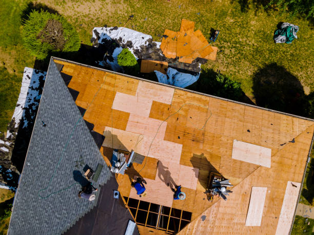 Best Local Roofing Companies  in Shell Rock, IA