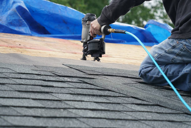 Best Flat Roof Repair Services  in Shell Rock, IA